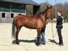Franck et Quebracho